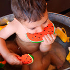 Wally The Watermelon by Oli & Carol