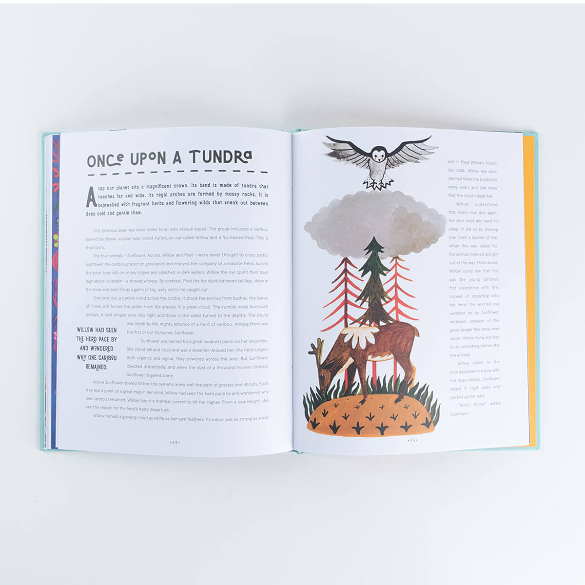 Once Upon Our Planet: Rewild Bedtime With 12 Stories by Vita Murrow & Aitch