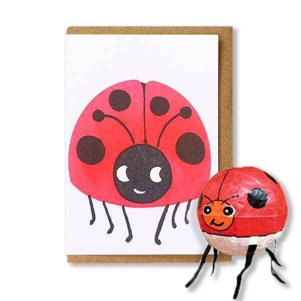 Ladybird Japanese Paper Balloon Greetings Card by Petra Boase