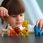 Wild Animals Set by PlanToys
