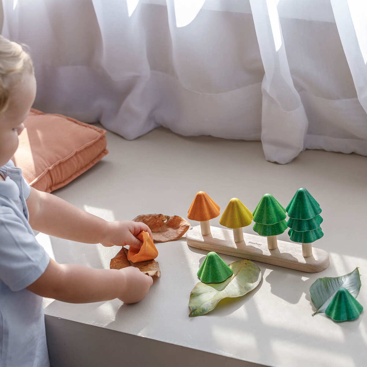 Sort And Count Trees by PlanToys