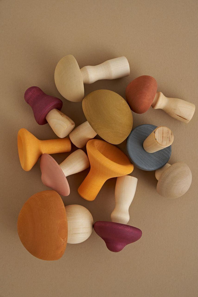 Mushrooms Set by Raduga Grëz