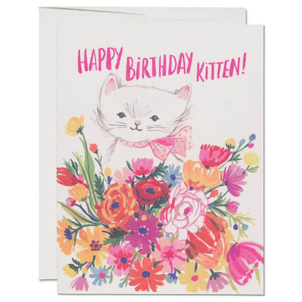Happy Birthday Kitten Greetings Card by Red Cap Cards