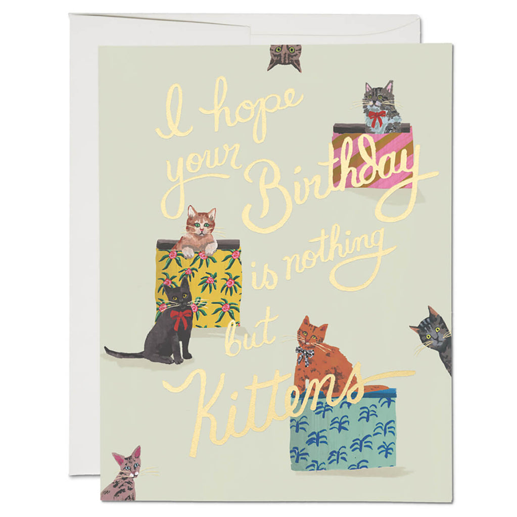 Nothing But Kittens Greetings Card by Red Cap Cards