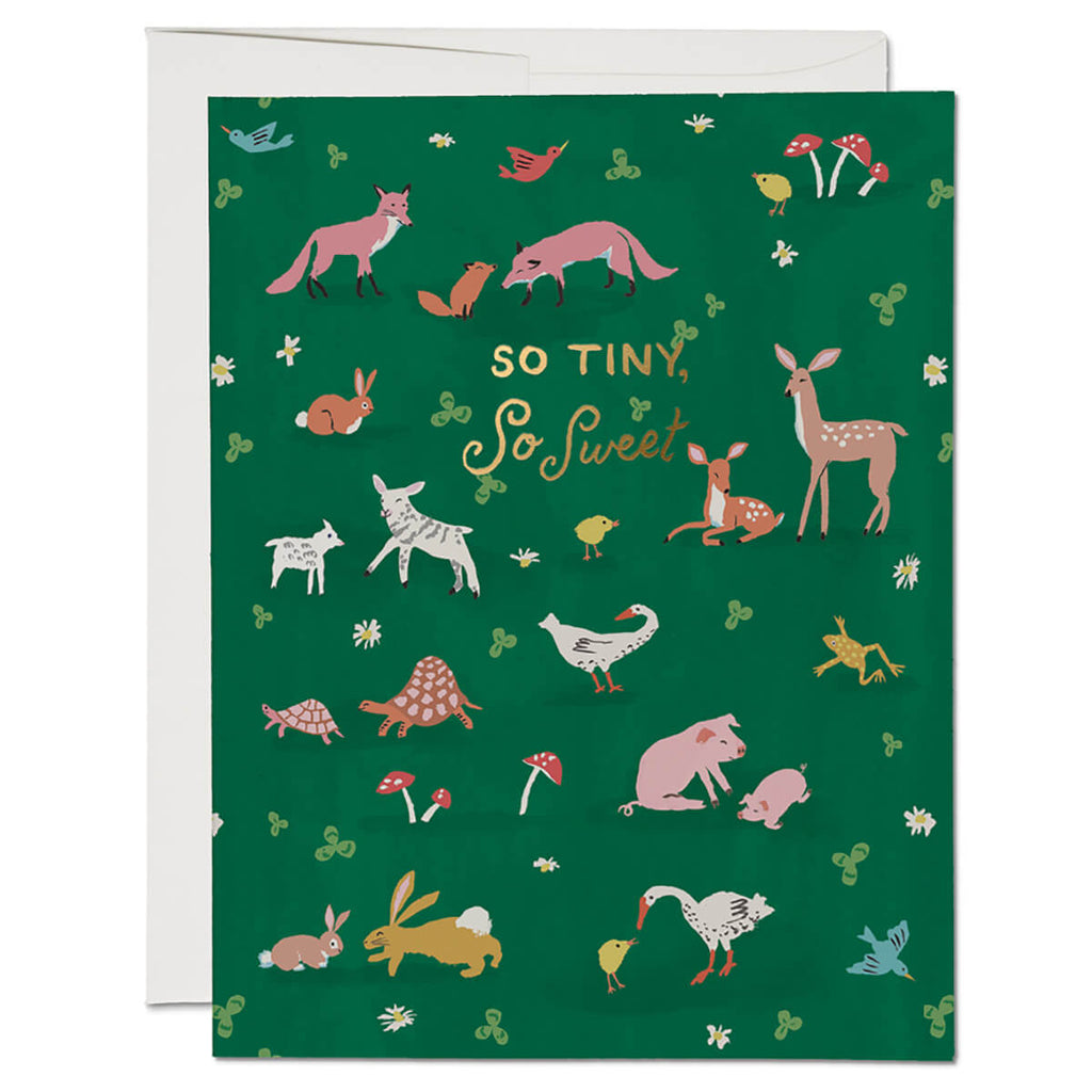 Tiny Animals Greetings Card by Red Cap Cards