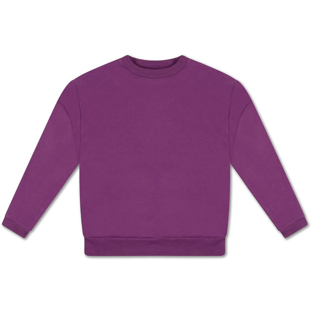 Crewneck Sweater in Purple Magic by Repose AMS