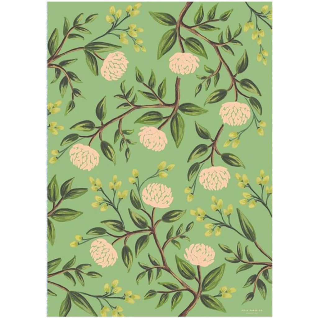 Emerald Peonies Gift Wrap By Rifle Paper Co.