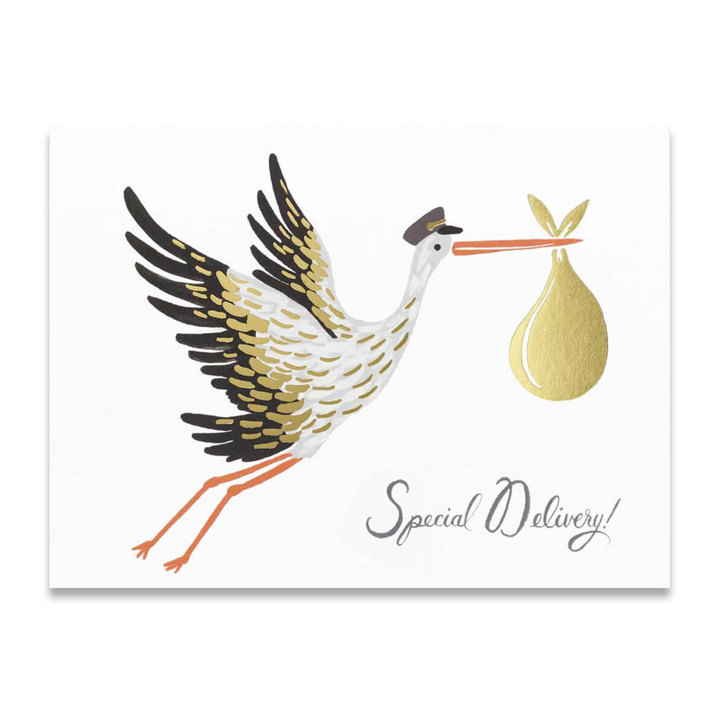 Special Delivery Stork Greetings Card By Rifle Paper Co.