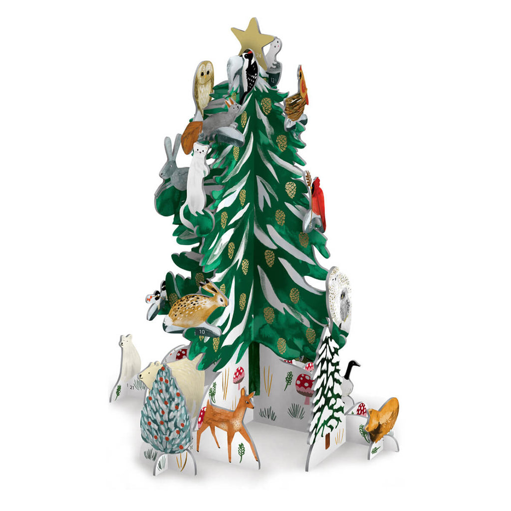 Christmas Conifer Pop And Slot 3D Advent Calendar by Roger La Borde