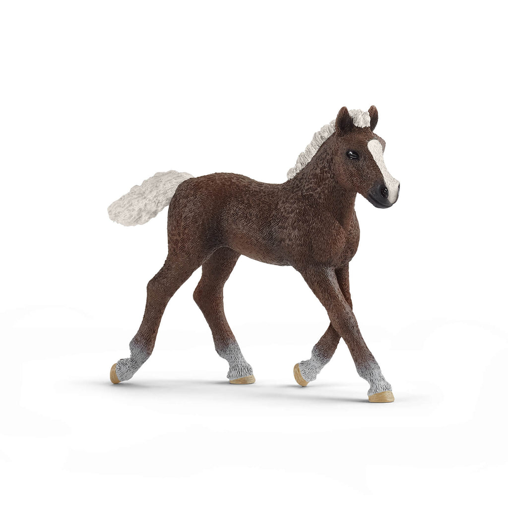 Black Forest Foal by Schleich