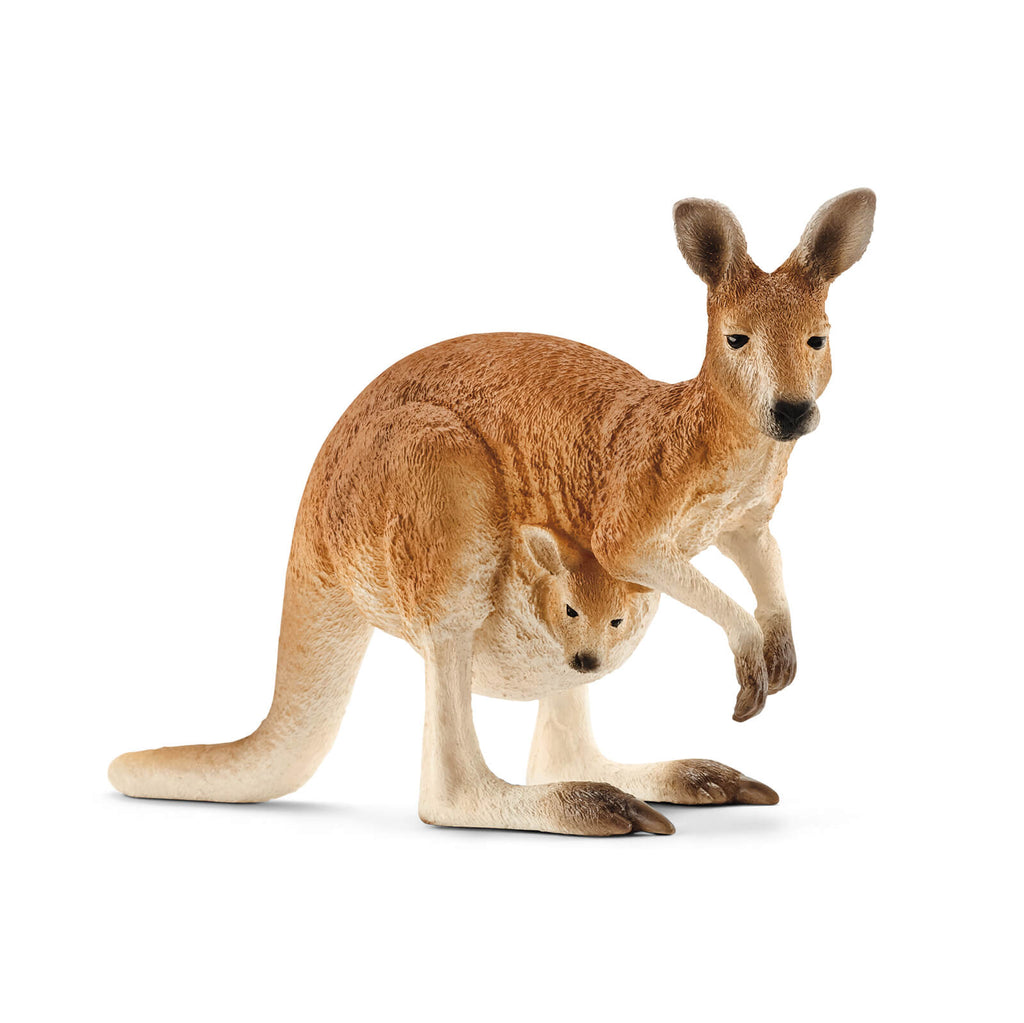 Kangaroo by Schleich
