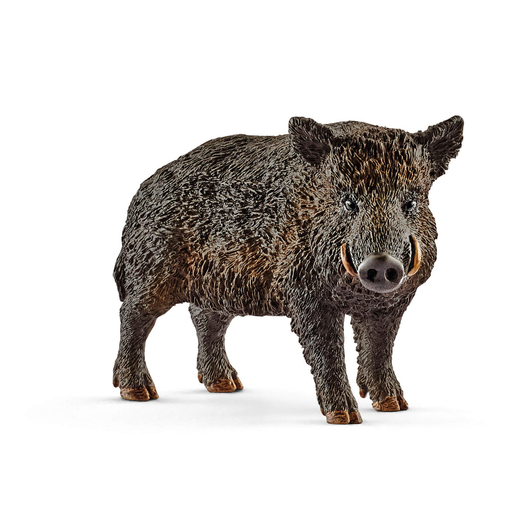 Wild Boar by Schleich