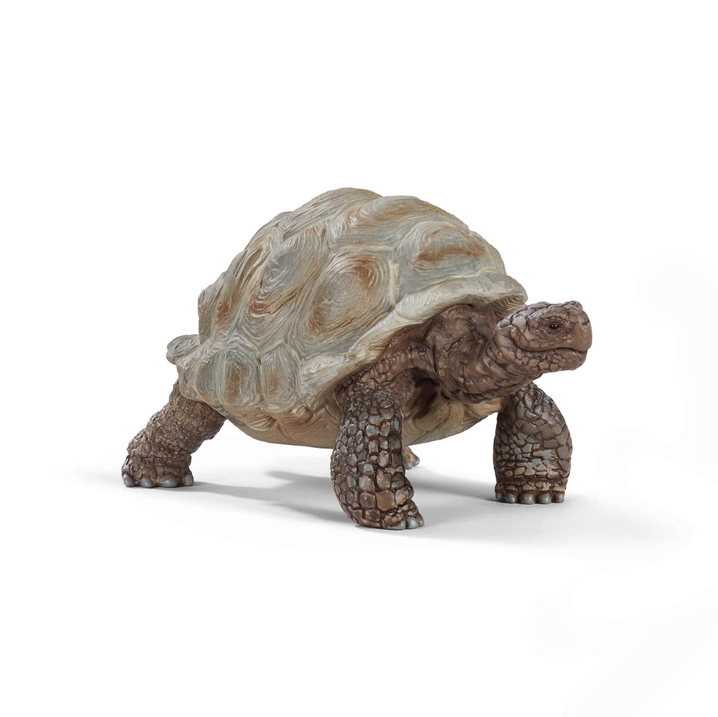 Giant Tortoise by Schleich
