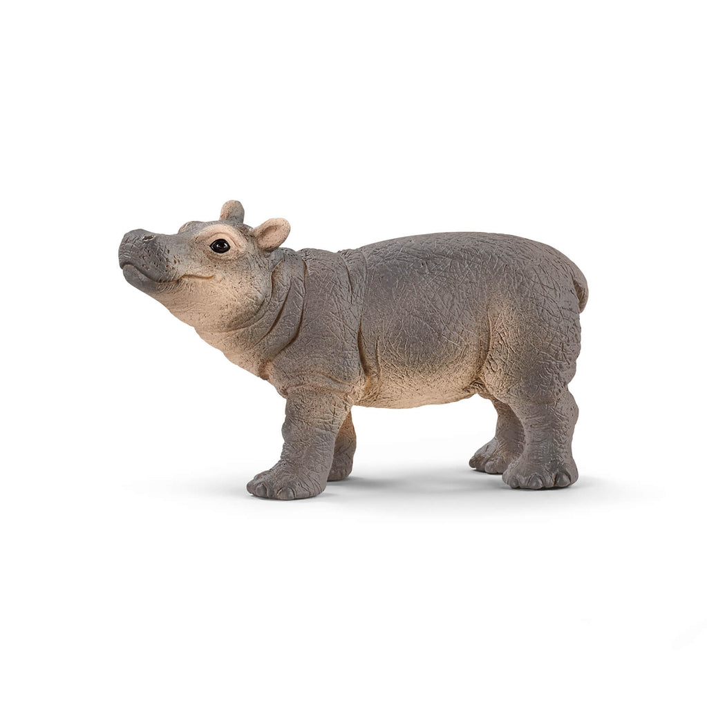 Baby Hippopotamus by Schleich
