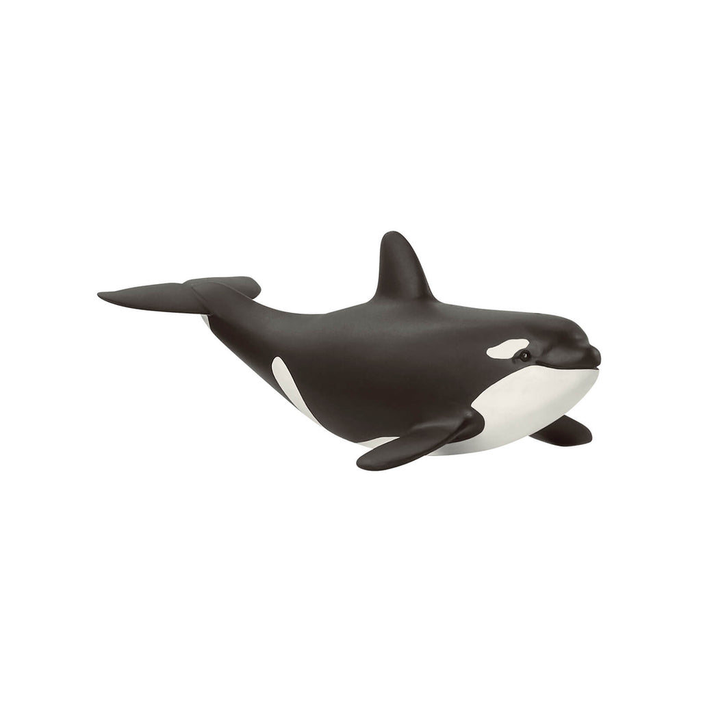 Baby Killer Whale by Schleich