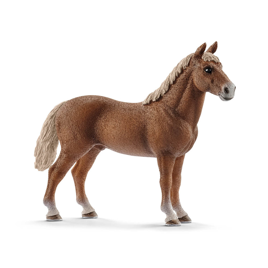 Morgan Horse Stallion by Schleich