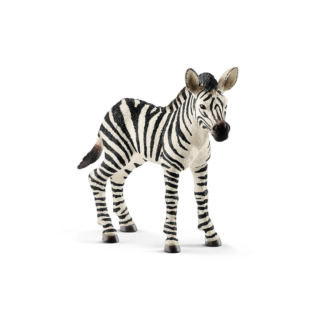 Zebra Foal by Schleich