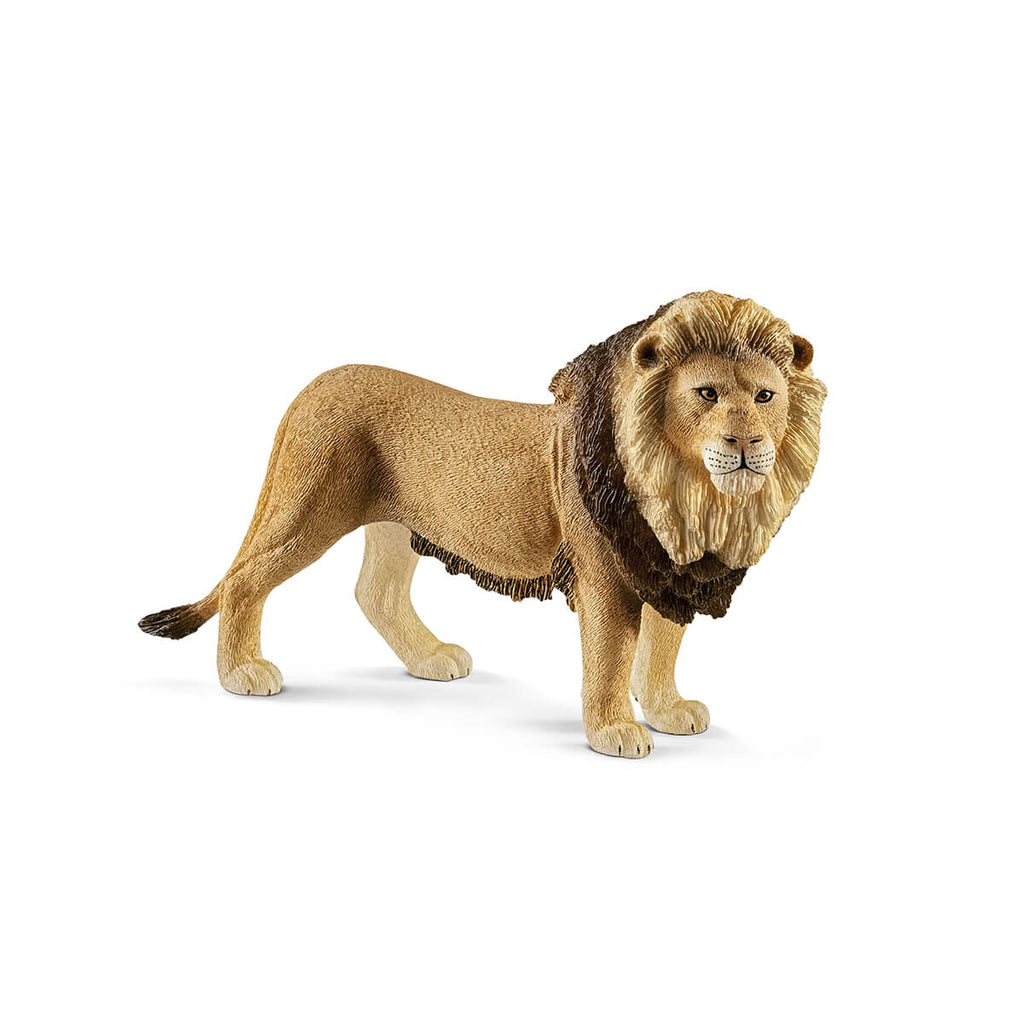 Lion by Schleich