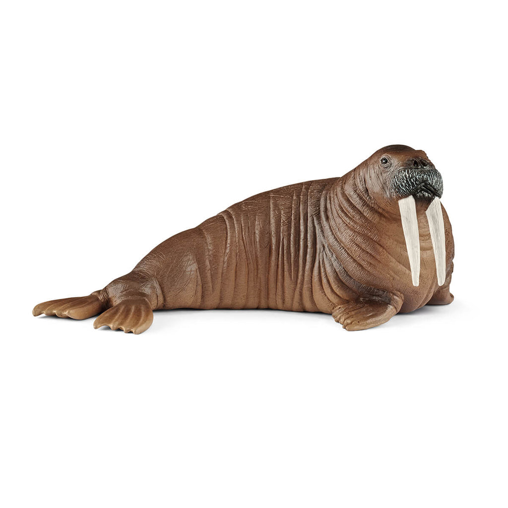 Walrus by Schleich