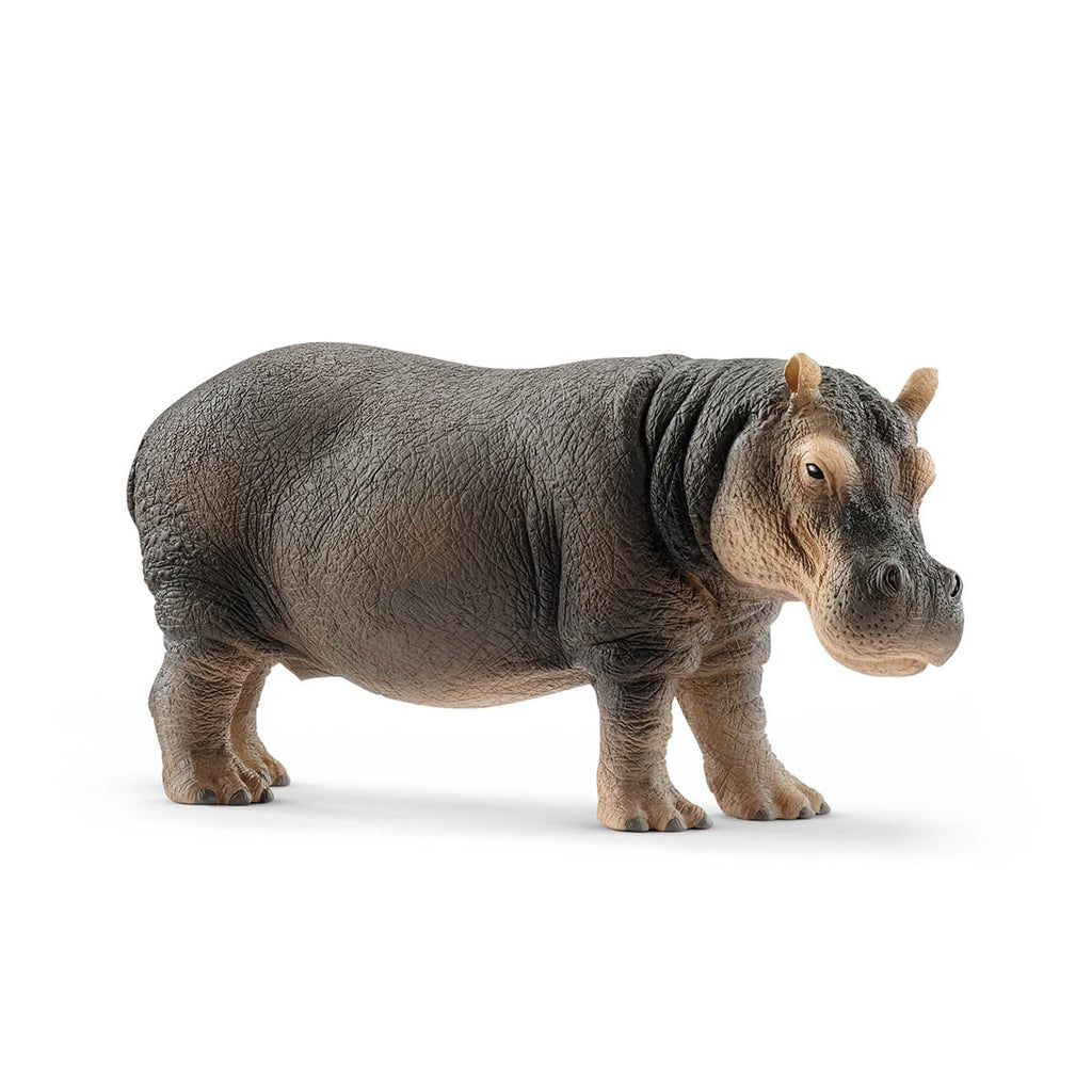 Hippopotamus by Schleich