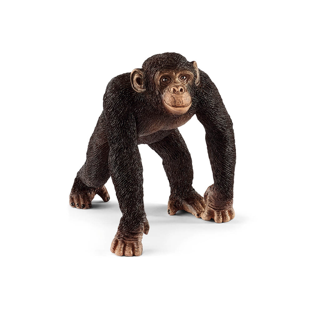 Male Chimpanzee by Schleich