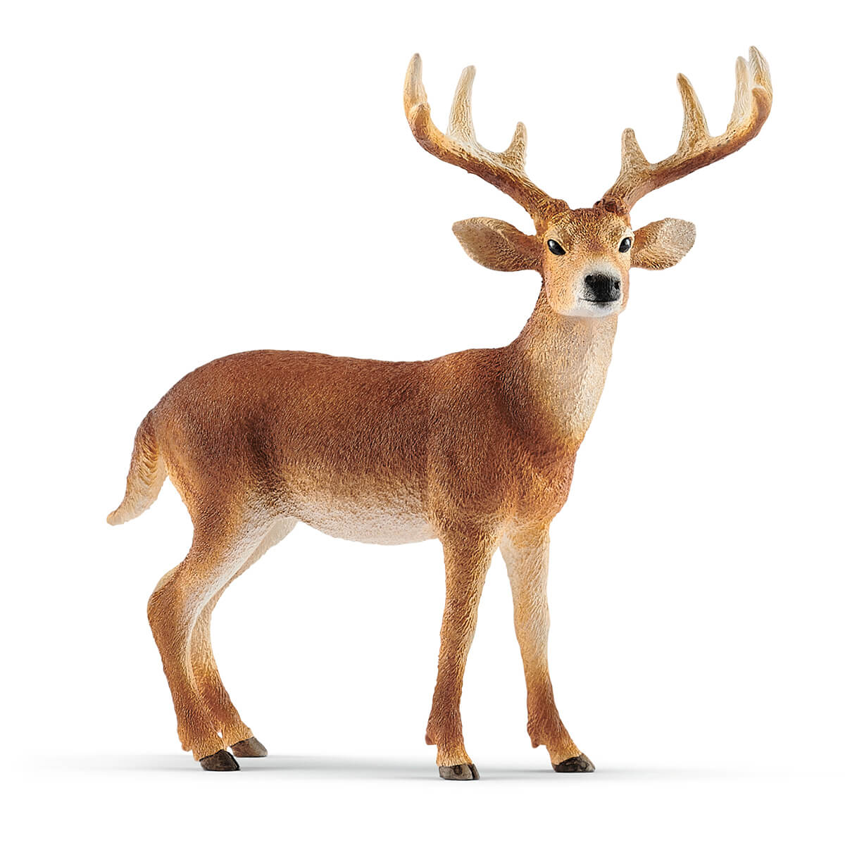 White Tailed Buck by Schleich