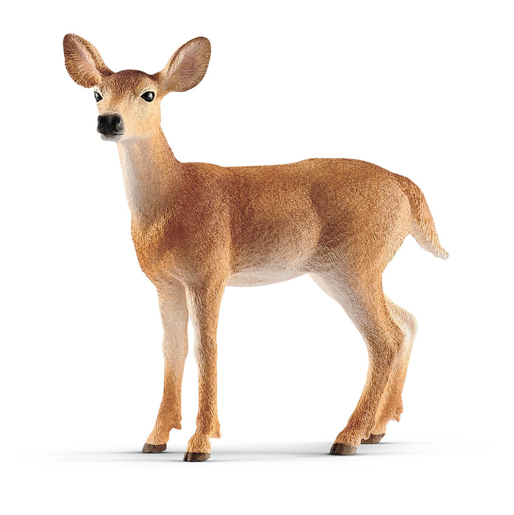 White Tailed Doe by Schleich