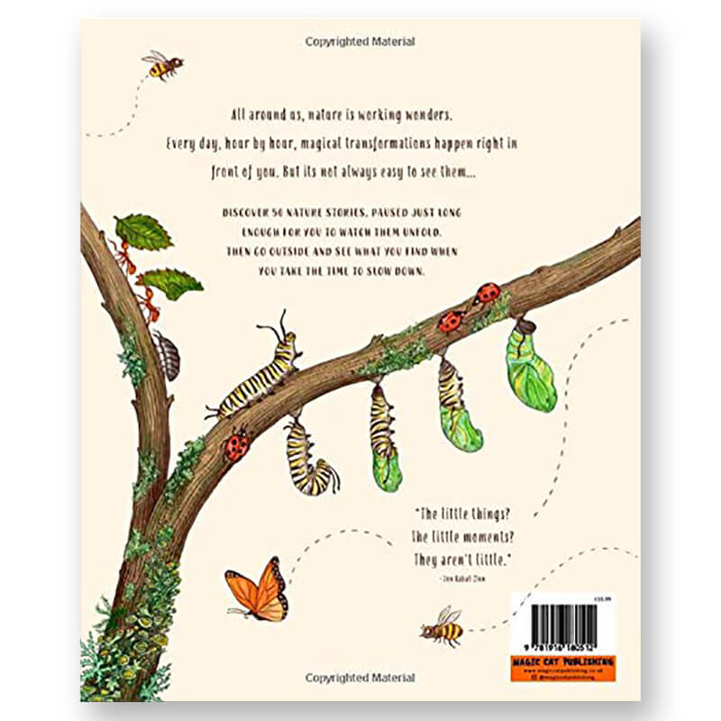 Slow Down: Bring Calm to a Busy World with 50 Nature Stories by Rachel Williams and Freya Hartas