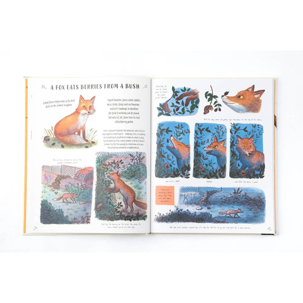 Slow Down: Bring Calm to a Busy World with 50 Nature Stories by Rachel Williams and Freya Hartas