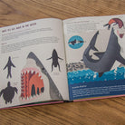 Smart About Sharks by Owen Davey