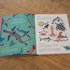 Smart About Sharks by Owen Davey