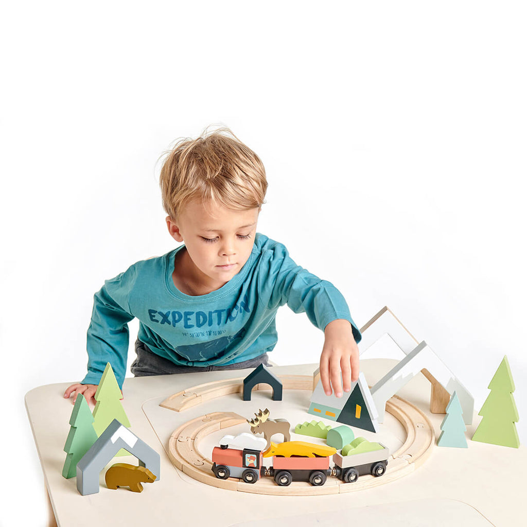 Tree Tops Train Set by Tender Leaf Toys