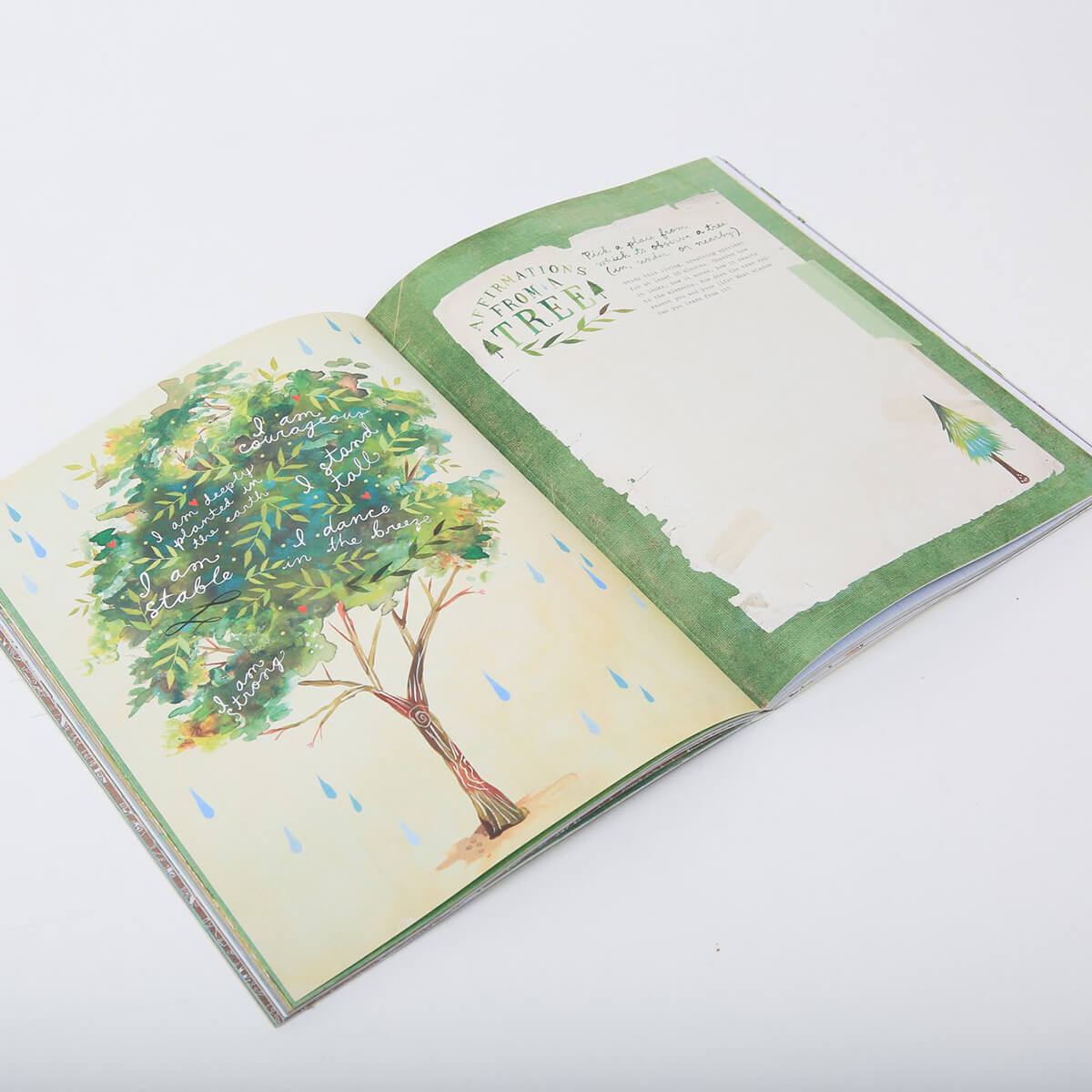 The Wildflower's Workbook by Katie Daisy