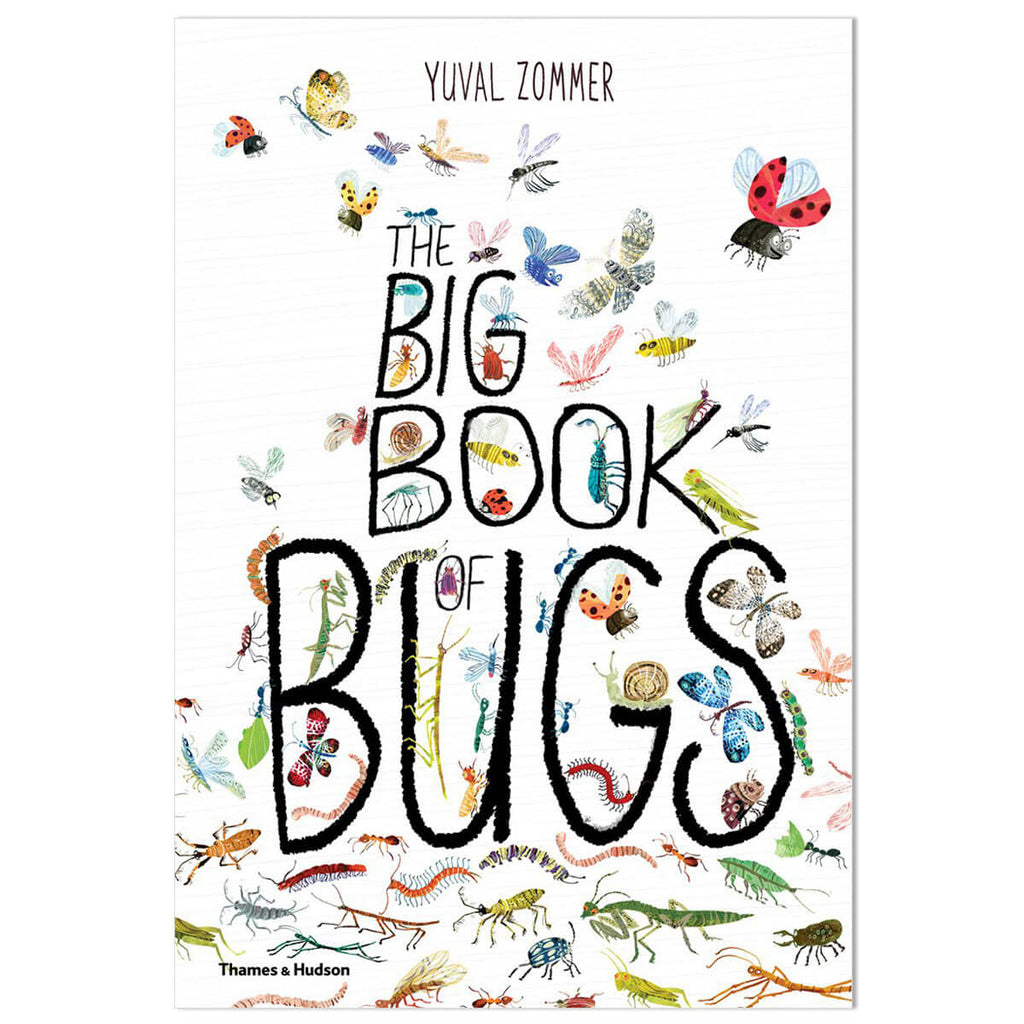 The Big Book of Bugs by Yuval Zommer & Barbara Taylor