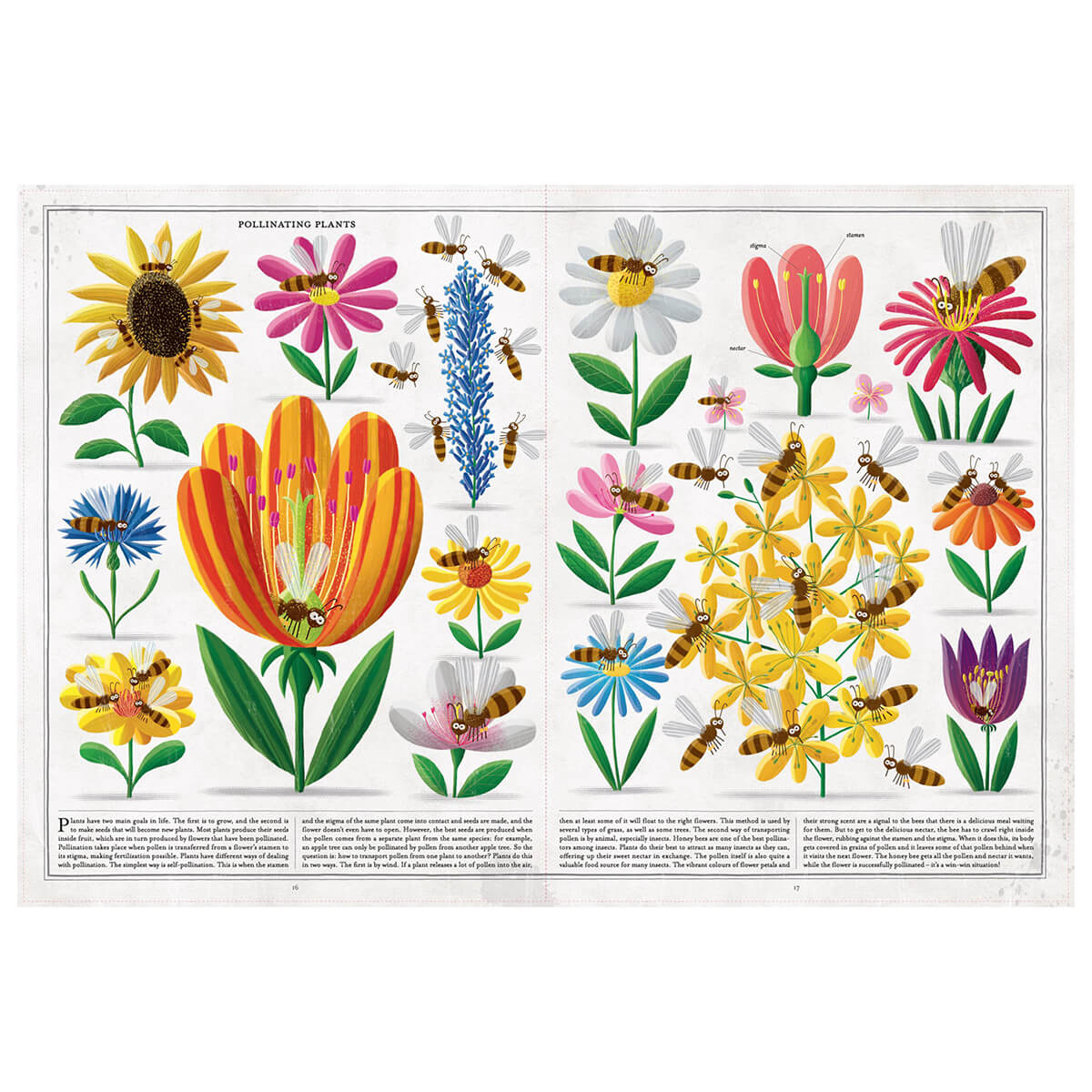 The Book Of Bees by Piotr Socha