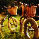 Trybike 2-in-1 Balance Bike / Tricycle in Classic Red by Co&Co