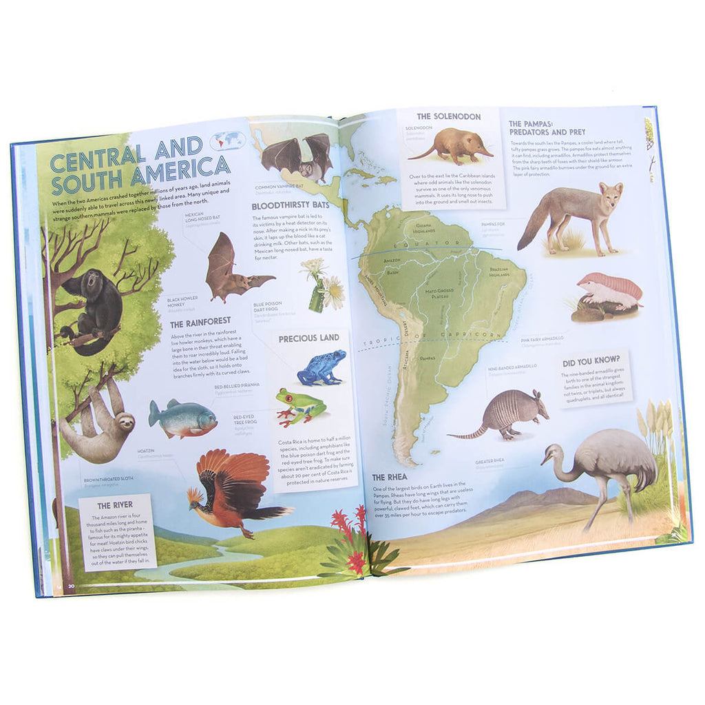 Amazing Animal Atlas by Nick Crumpton & Gaia Bordicchia (Signed Copy)