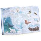 Amazing Animal Atlas by Nick Crumpton & Gaia Bordicchia (Signed Copy)