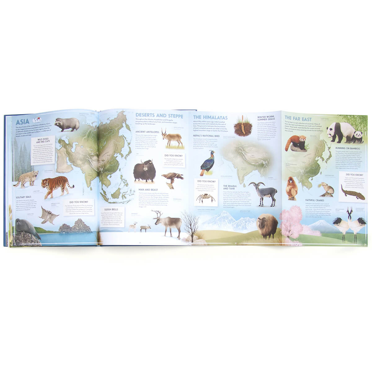 Amazing Animal Atlas by Nick Crumpton & Gaia Bordicchia (Signed Copy)