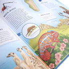 Amazing Animal Atlas by Nick Crumpton & Gaia Bordicchia (Signed Copy)