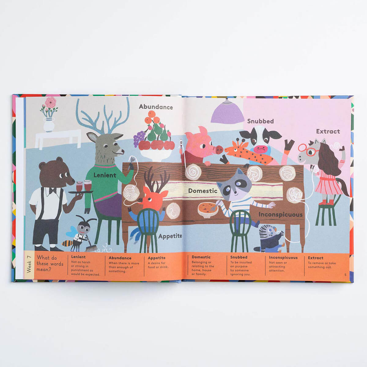 An Interesting Word For Every Day Of The Year by Dr. Meredith L. Rowe & Monika Forsberg