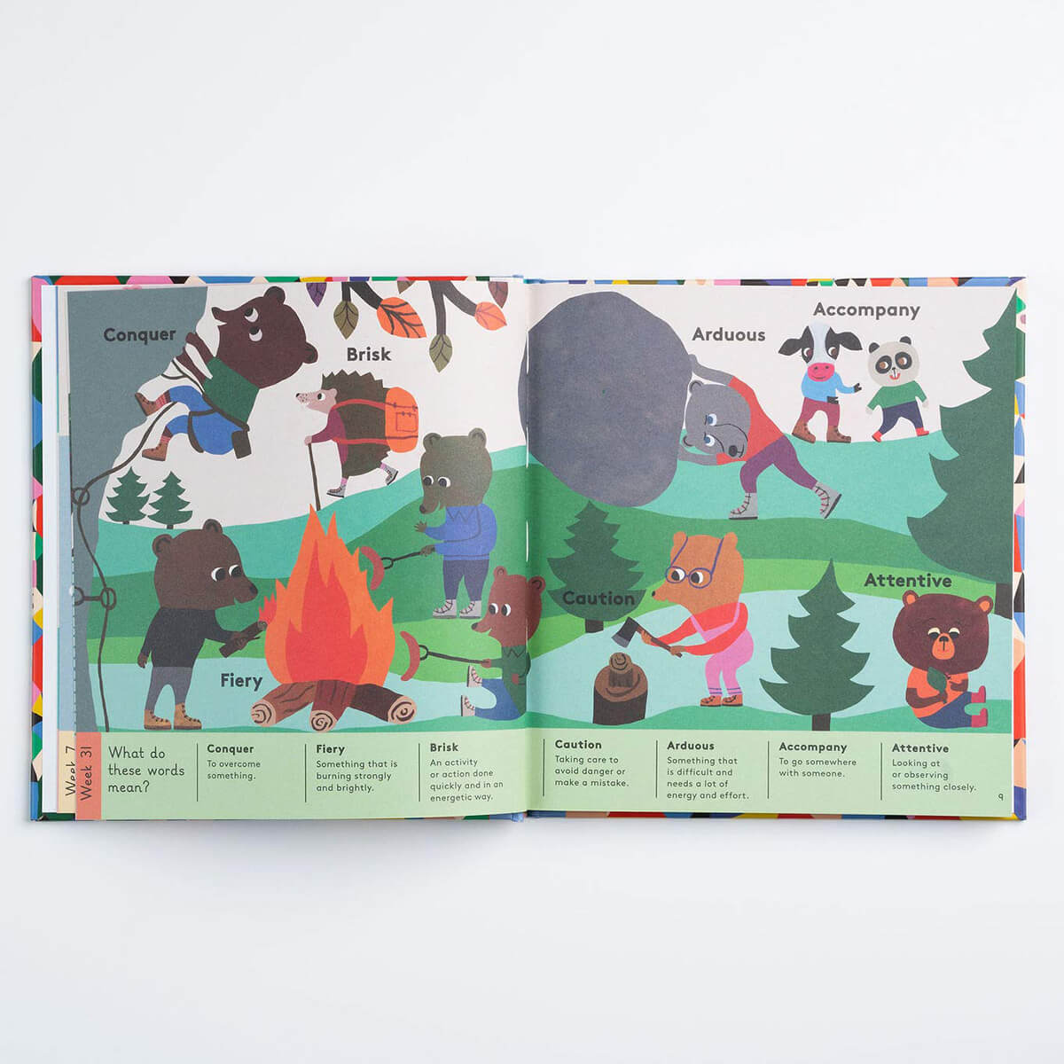 An Interesting Word For Every Day Of The Year by Dr. Meredith L. Rowe & Monika Forsberg