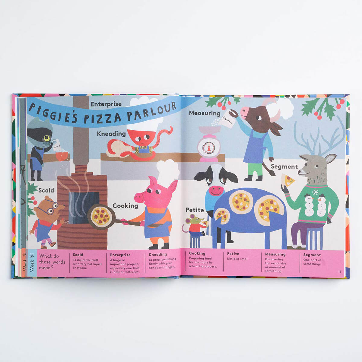 An Interesting Word For Every Day Of The Year by Dr. Meredith L. Rowe & Monika Forsberg