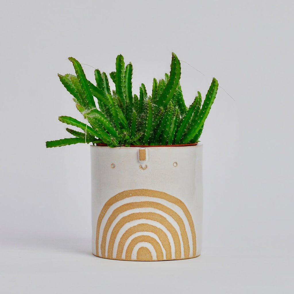 Medium Pot with Drainage Hole in White / Rainbow by Atelier Stella