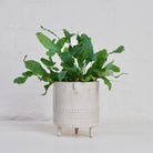 Medium Tripod Planter Pot in White Stamped by Atelier Stella