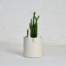 Mini Rabbit Pot in White by Atelier Stella