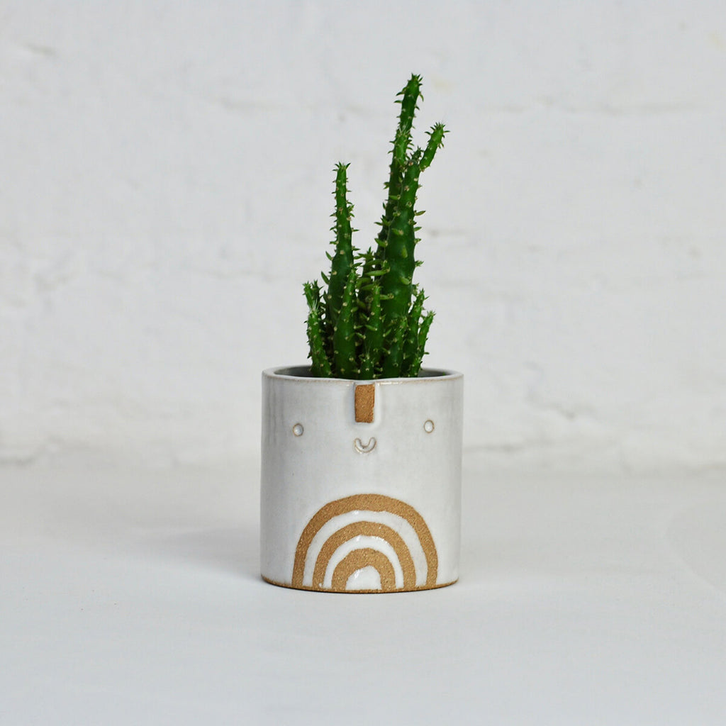 Mini Succulent Pot in White / Rainbow by Atelier Stella