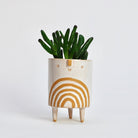 Small Tripod Planter Pot in White / Rainbow by Atelier Stella