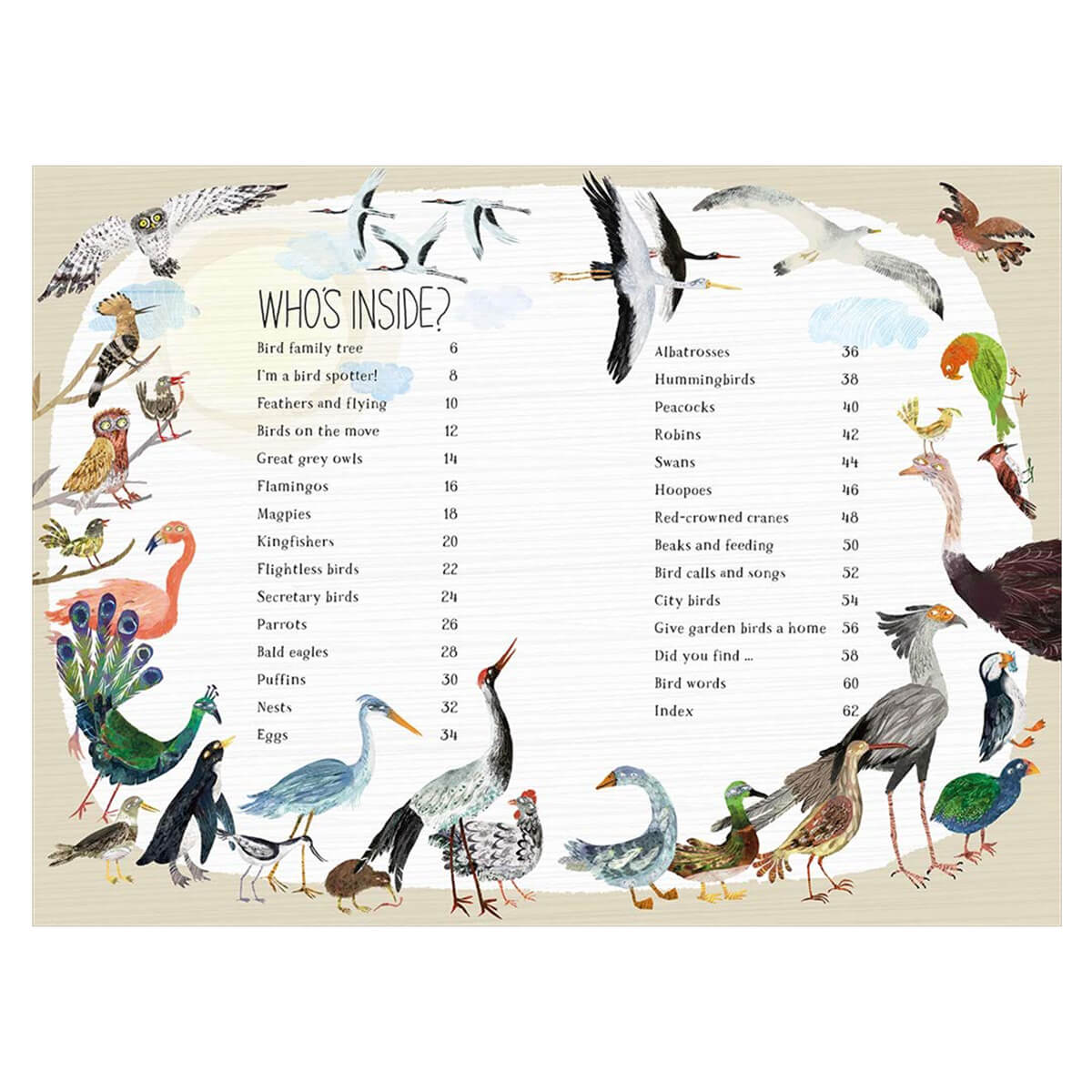 The Big Book of Birds by Yuval Zommer