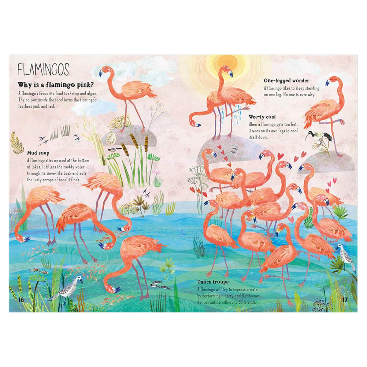 The Big Book of Birds by Yuval Zommer